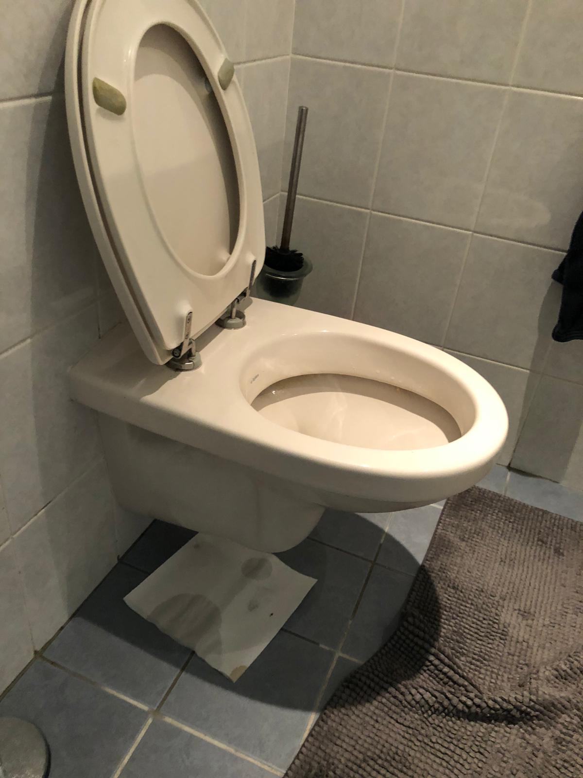 hangtoilet Zaandijk
